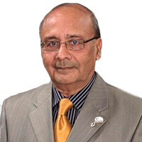 Sam Bhargava, Board of Directors