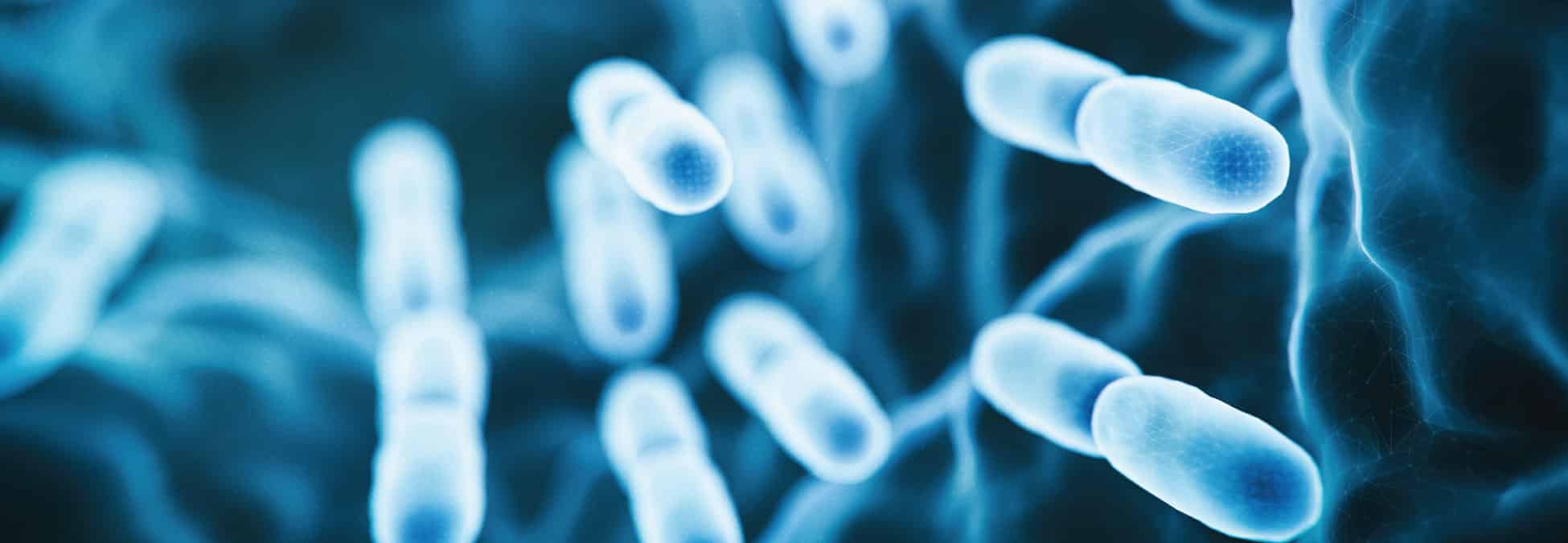 Sepsis health profile — All About Sepsis